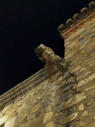 gargola en casa del mono Cáceres