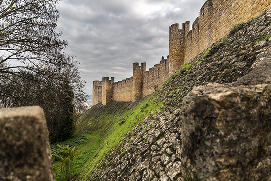 Almenara. Castillo de Tomar