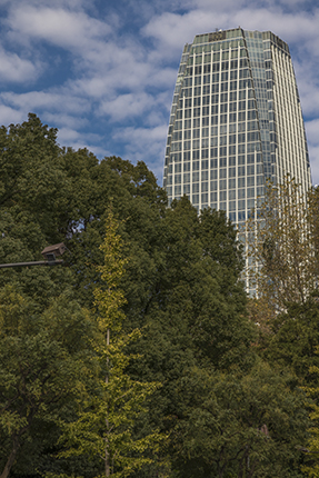 rascacielos shibuya Tokio