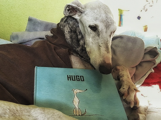 Ilustradora cuentos personalizados CVT 