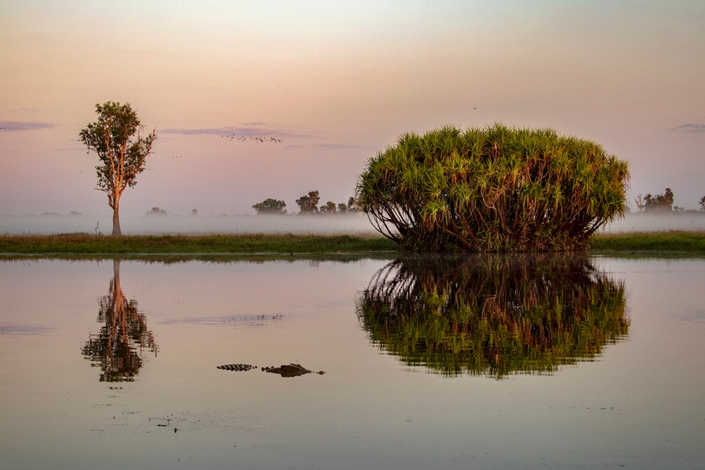 Niebla en Yelow river North Australia. Te cuento de viajes