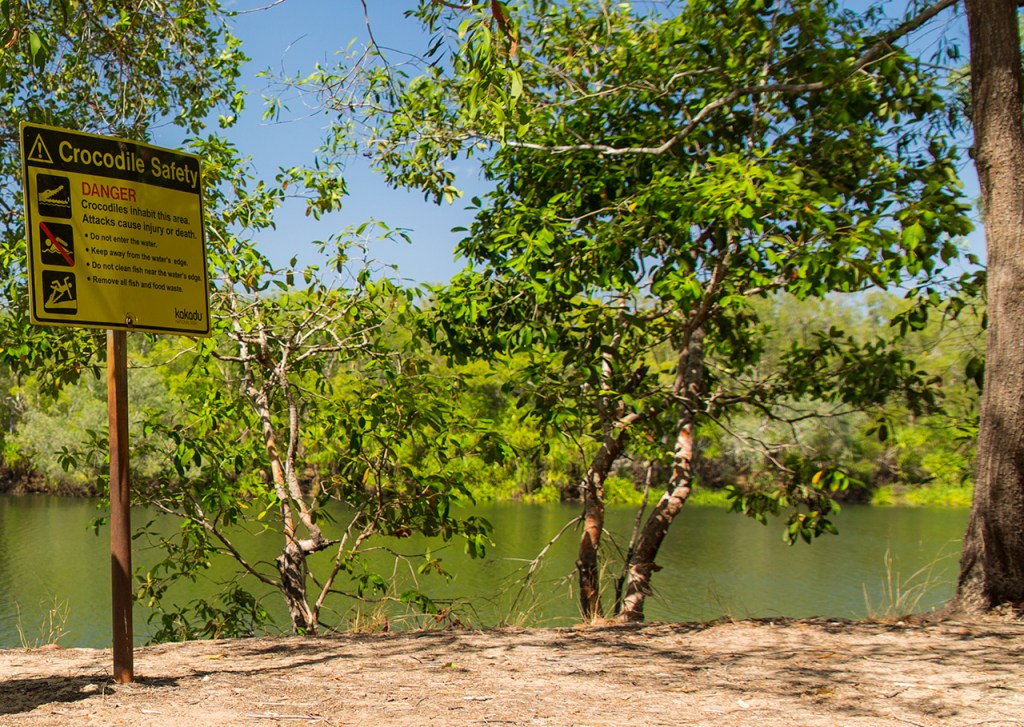 señal de precaución cocodrilos, prohibición de nadar.
Te cuento de viajes 