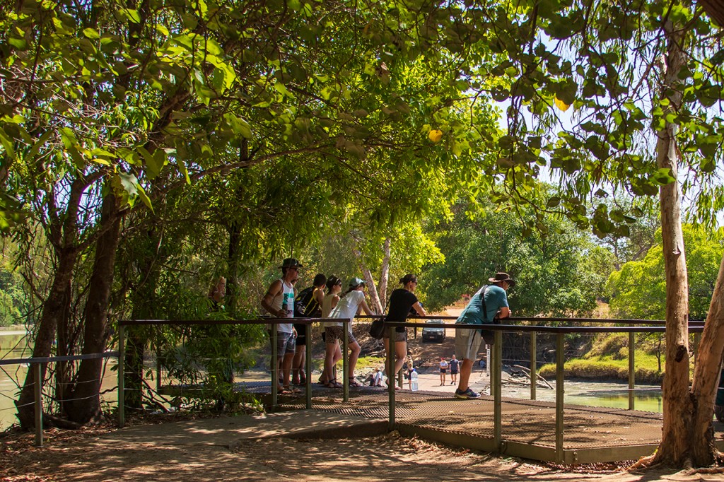 donde ver cocodrilos en Australia: Plataforma Cahil's, East Alligator.
Te cuento de viajes 